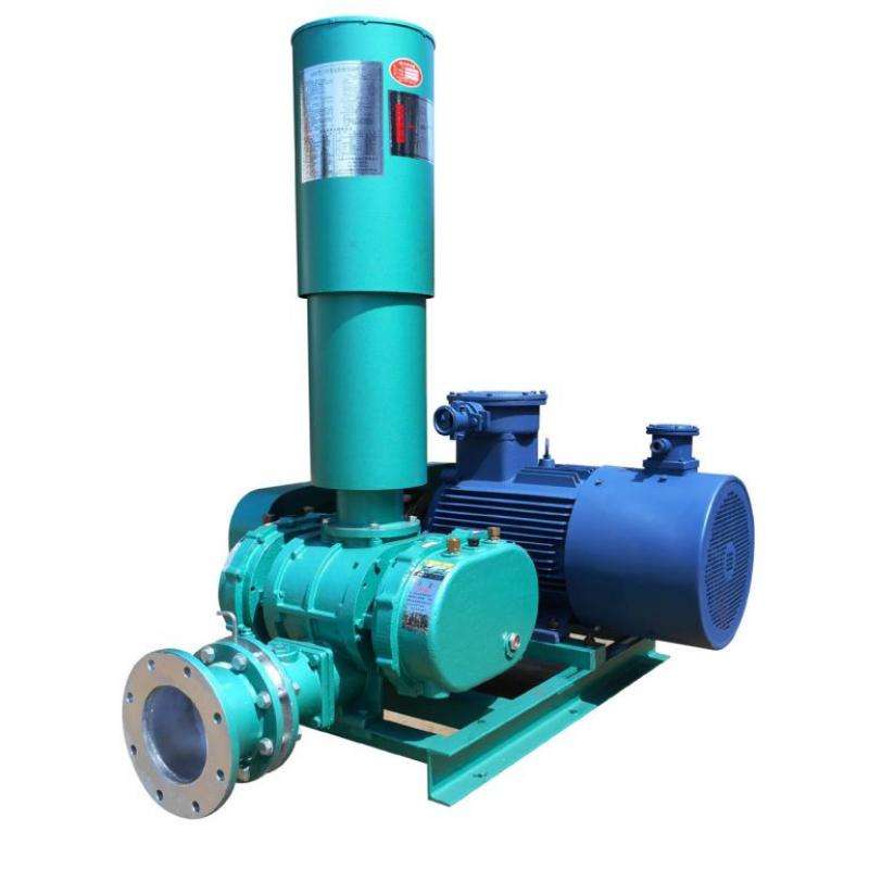 <h3>羅茨風(fēng)機(jī)</h3>